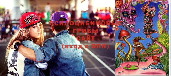 стаф Каменск-Шахтинский
