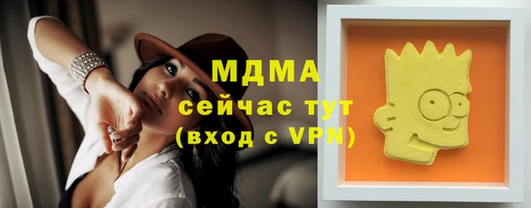 МДПВ Инта