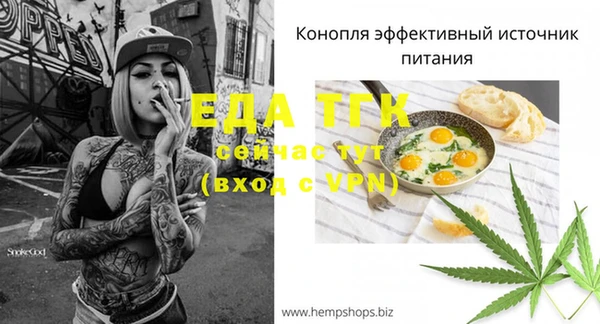 МДПВ Инта