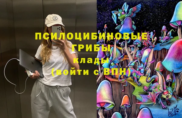 МДПВ Инта