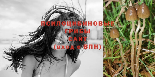 МДПВ Инта