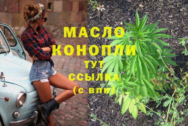 МДПВ Инта